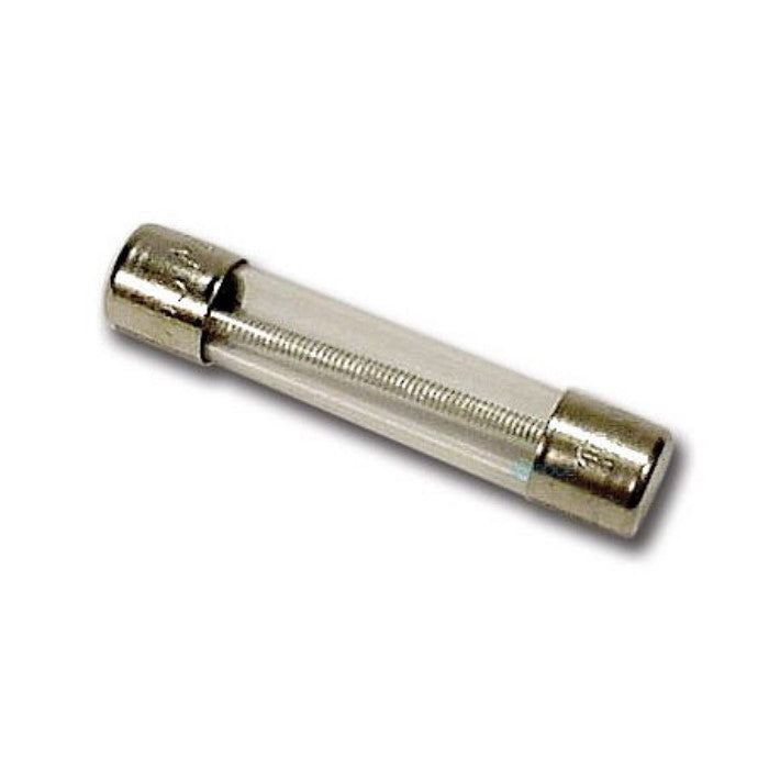 (DC)SLO-BLO Fuse 1 Amp 250V Gecko